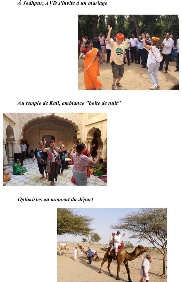 Une image contenant cheval, plein air, dromadaire, personnes

Le contenu g�n�r� par l�IA peut �tre incorrect.